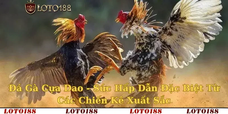 đá gà cựa dao