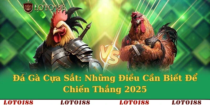 Đá gà cựa sắt
