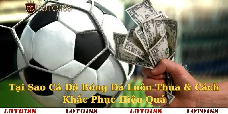 Tại Sao Cá Độ Bóng Đá Luôn Thua & Cách Khắc Phục Hiệu Quả